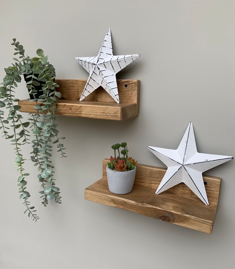 May include: Two rustic wooden shelves with a white star on each shelf. The top shelf has a green plant hanging from it. The bottom shelf has a small succulent plant in a gray pot.
