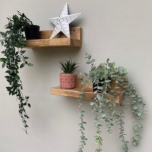 May include: Two wooden shelves with a white star on the top shelf and two potted plants on the bottom shelf. The shelves are mounted on a white wall.