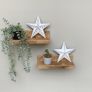 May include: Two wooden shelves with a white star on each shelf. The top shelf has a potted plant with green leaves hanging down. The bottom shelf has a small potted succulent.