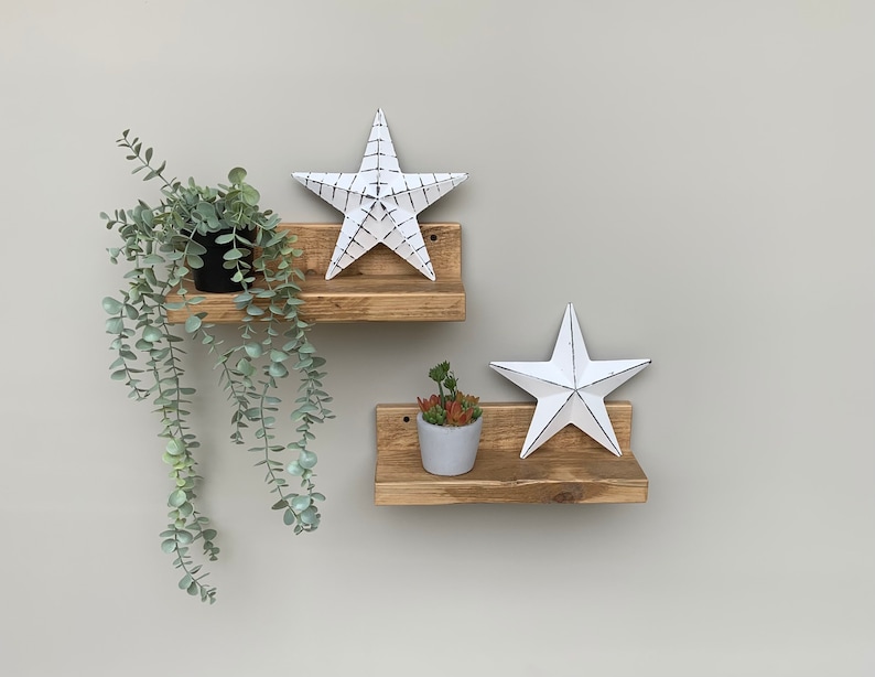 May include: Two wooden shelves with a white star on each shelf. The top shelf has a potted plant with green leaves hanging down. The bottom shelf has a small potted succulent.