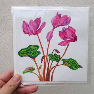 Könnte beinhalten: Ein quadratischer Kunstdruck mit einem Aquarellgemälde von rosa Alpenveilchenblüten mit grünen und rosa Blättern. Die Blüten haben zarte Blütenblätter vor einem weißen Hintergrund. Der Druck befindet sich in einer transparenten Plastikhülle.