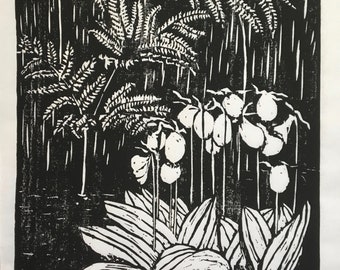 woodcut print of lady slippers and maidenhair ferns in woods by Vermont artist Margot Torrey
