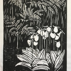 Woodcut Print: Lady Slippers & Ferns, Vermont Artist