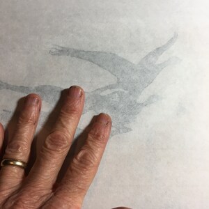 May include: A hand with a gold ring rests on a white surface with a faint gray drawing of two birds in flight.