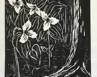 woodcut print of trillium and pine tree, wild botanical, black and white