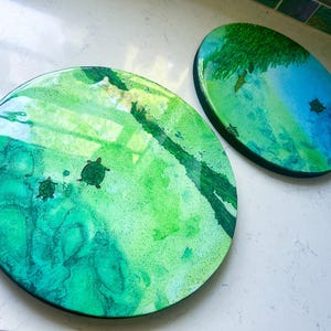 Silver Springs Series