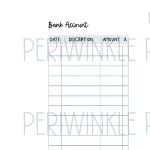 SKINNY MINI Bank Account/Check Register Planner insert fitting Happy Planner Printable 7 discs