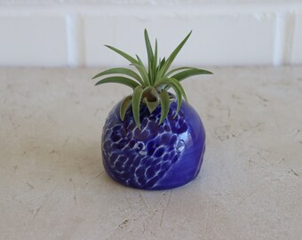 Air Plant Display, Air Plant Holder Cute, Ceramic Plant Pot, Plant Gifts for Plant Lover, Wheel Thrown Pottery, desk decor aesthetic