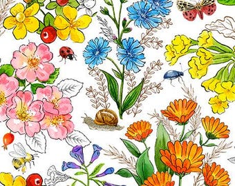 Healing Botanical Flowers on White by QT Fabrics Quality Cotton Fabric by the Yard Continuously Cut Beautiful Multicolored Flowers