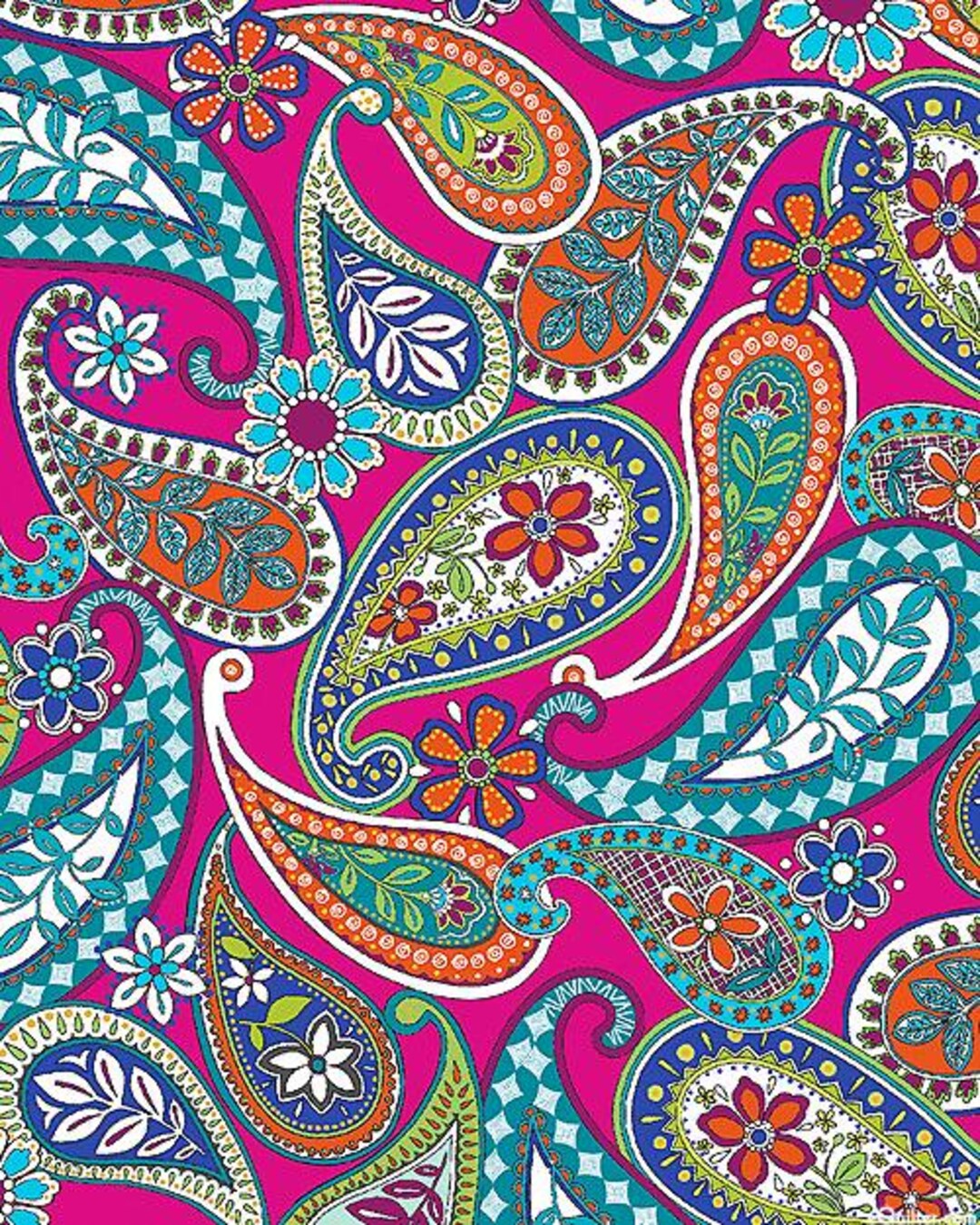 Multi Color Row Paisley Pashmina - Fuchsia PA045-006 (Pack of 12) main image 1