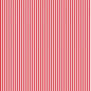 Stripe 1/8 Inch Color Red by Riley Blake Designs Fabrics Premium Cotton Fabrics by the yard Continuous Cut