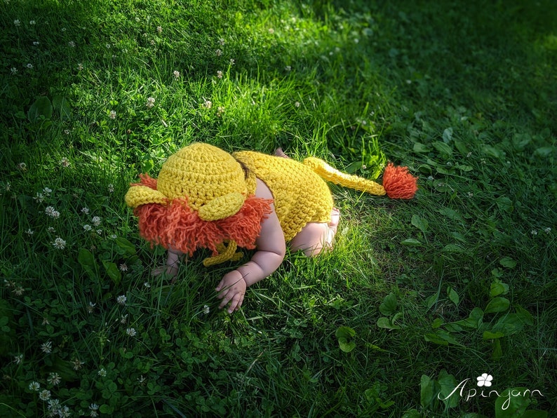 Baby Lion Costume, Baby Lion Outfit, First Halloween Costume, Crochet
