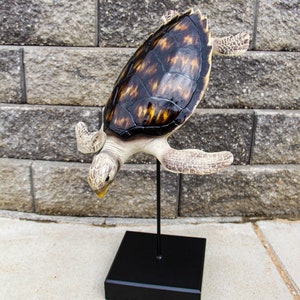 Turtle Statue Home Decor Figurine, Sea Turtle Figurine, Turtle Decor, Sea Turtle Decor, Beach Home, Beach Decor, Ocean Decor Hand Painted