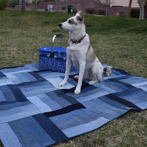 May include: A white and brown dog sits on a blue denim picnic blanket with a blue and white picnic basket in the background.
