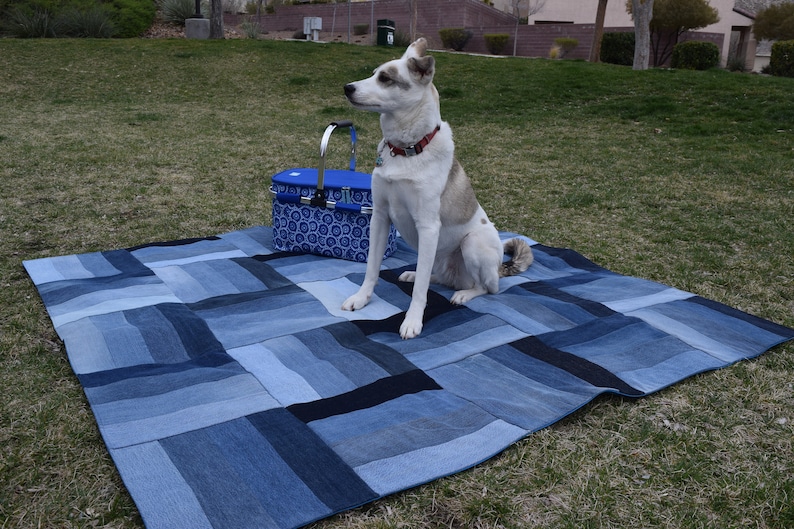 May include: A white and brown dog sits on a blue denim picnic blanket with a blue and white picnic basket in the background.