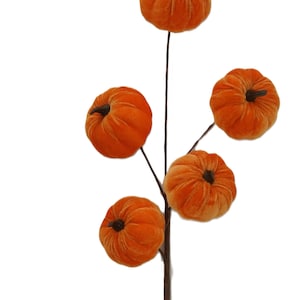 May include: A stem with five orange velvet pumpkins attached. The stem is brown and the pumpkins are all facing different directions.
