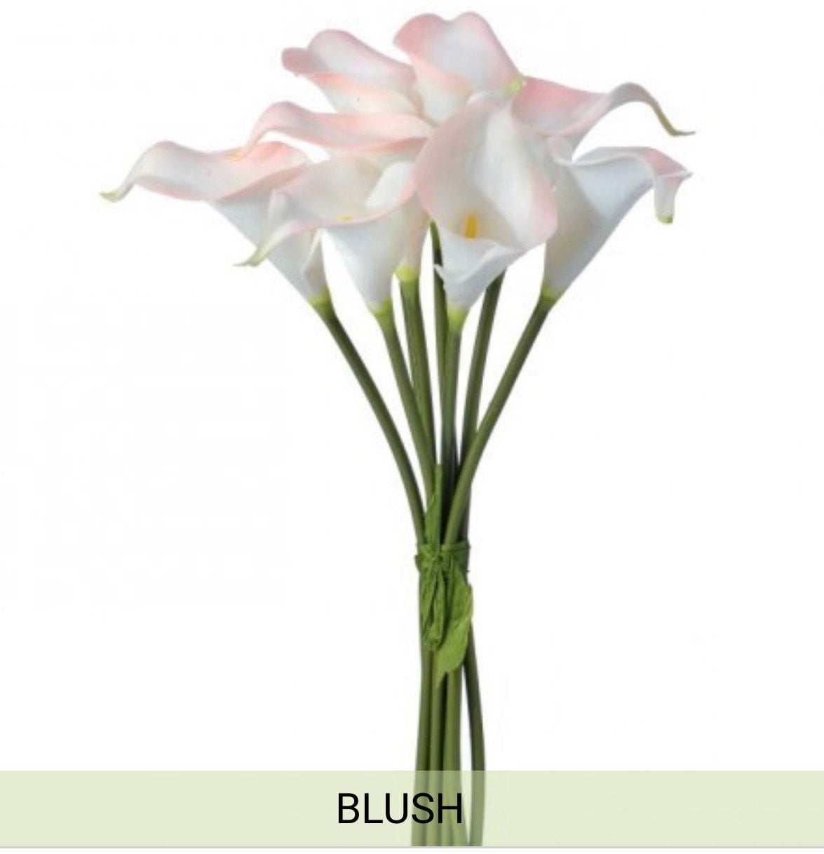 lilly❤︎ Calla Lily, Mini Bundle, Blush, 14