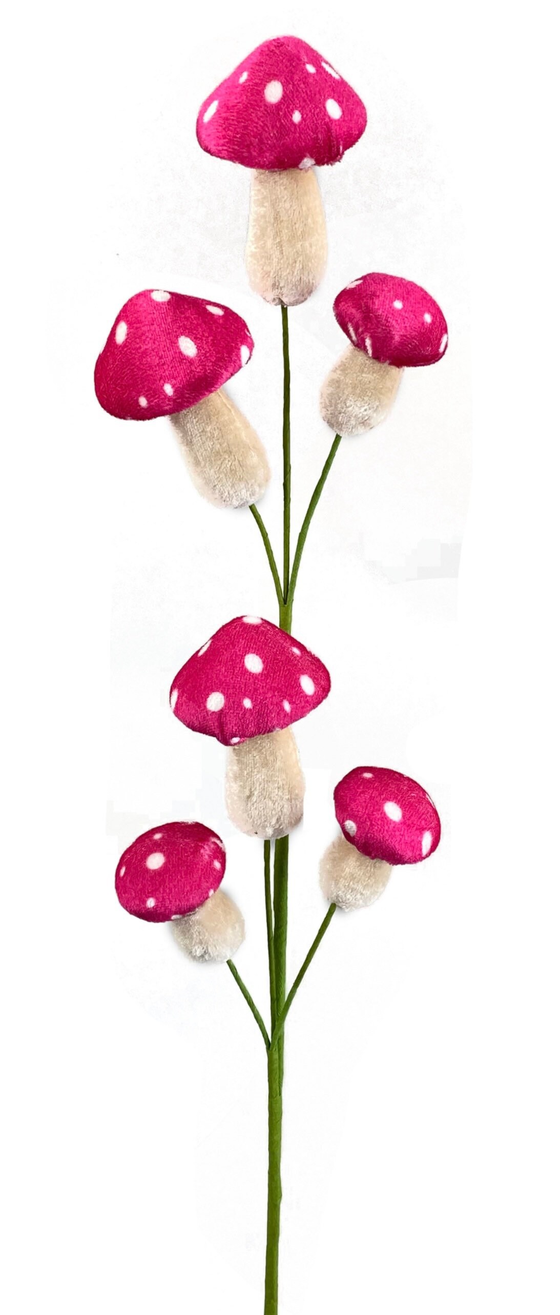 Mushroom Hot Pink Polkadot Spray X 6 22