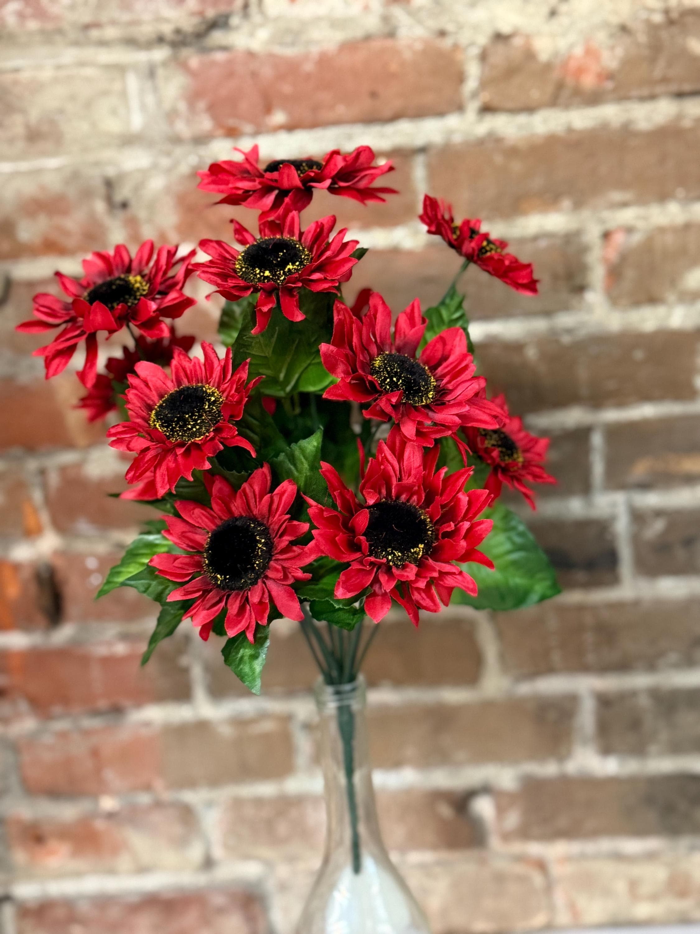 Red Sunflower, Satin Sunflower Bush, 17