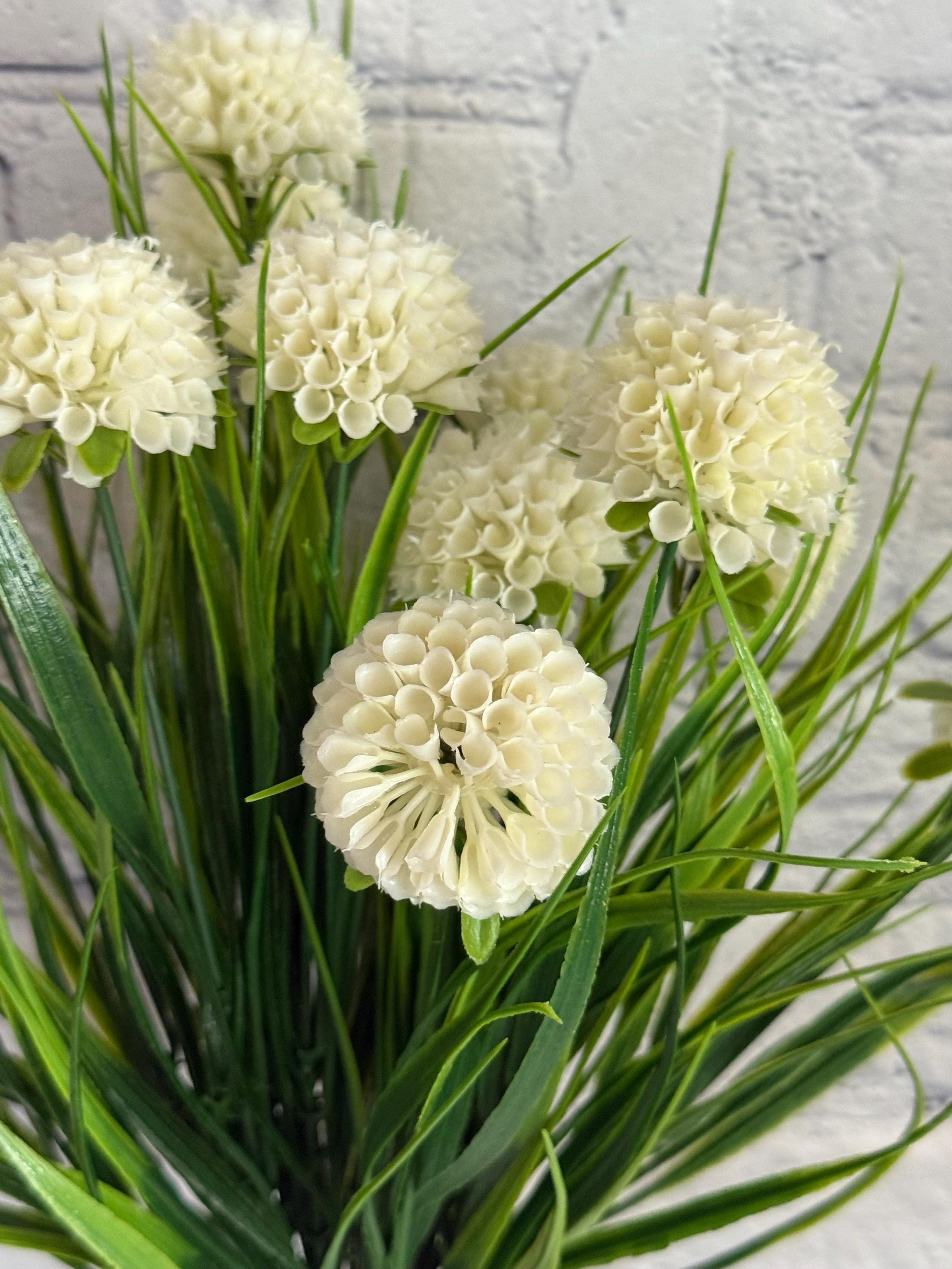 ダリアページ Cream Mixed Dahlia 22