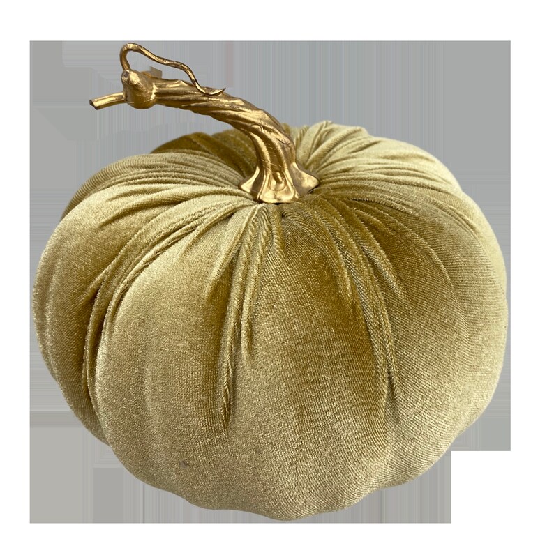 Pumpkin Gold Velvet 5 high 7 Dia, Fall, Halloween, Thanksgiving Bild 1