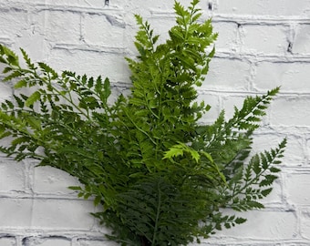 Fern Bush Natural Touch Lady UV Proof 19”, Greenery Wreath Embellishment Supply, Floral Supply, Floral Bushes, MTF23558