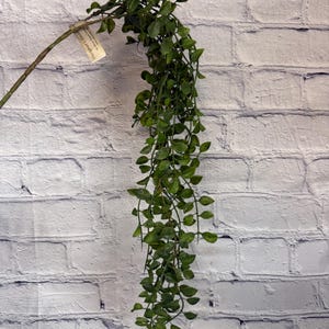 May include: A long, green artificial vine with small leaves hanging against a white brick wall. The vine is attached to a brown stick. The vine is labeled "Green Hanging Vine".