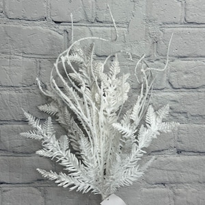 May include: A bundle of white, frosted artificial fern stems. The faux foliage has a delicate, textured appearance, with fine details on the leaves and stems. The stems are arranged in a bouquet, suitable for floral arrangements or decorative displays. A blank tag is attached.