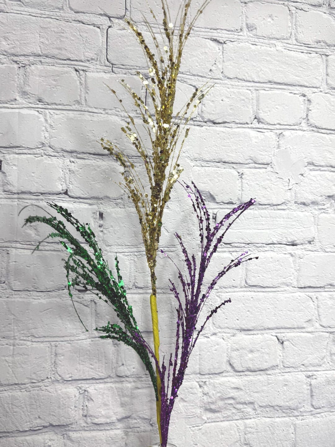 Mardi Gras Pampas Grass 34