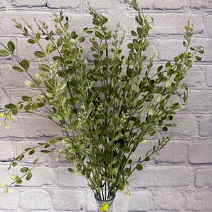 Artificial Boxwood Bush – 7 Stems, 22” Tall – Variegated Greenery for Arrangements & Décor, 13137VAGN