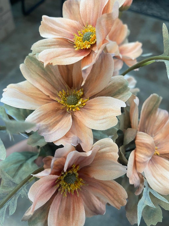 Brown Orange Cosmos Bush X 11, 22”, Wreath Embellishment Supply