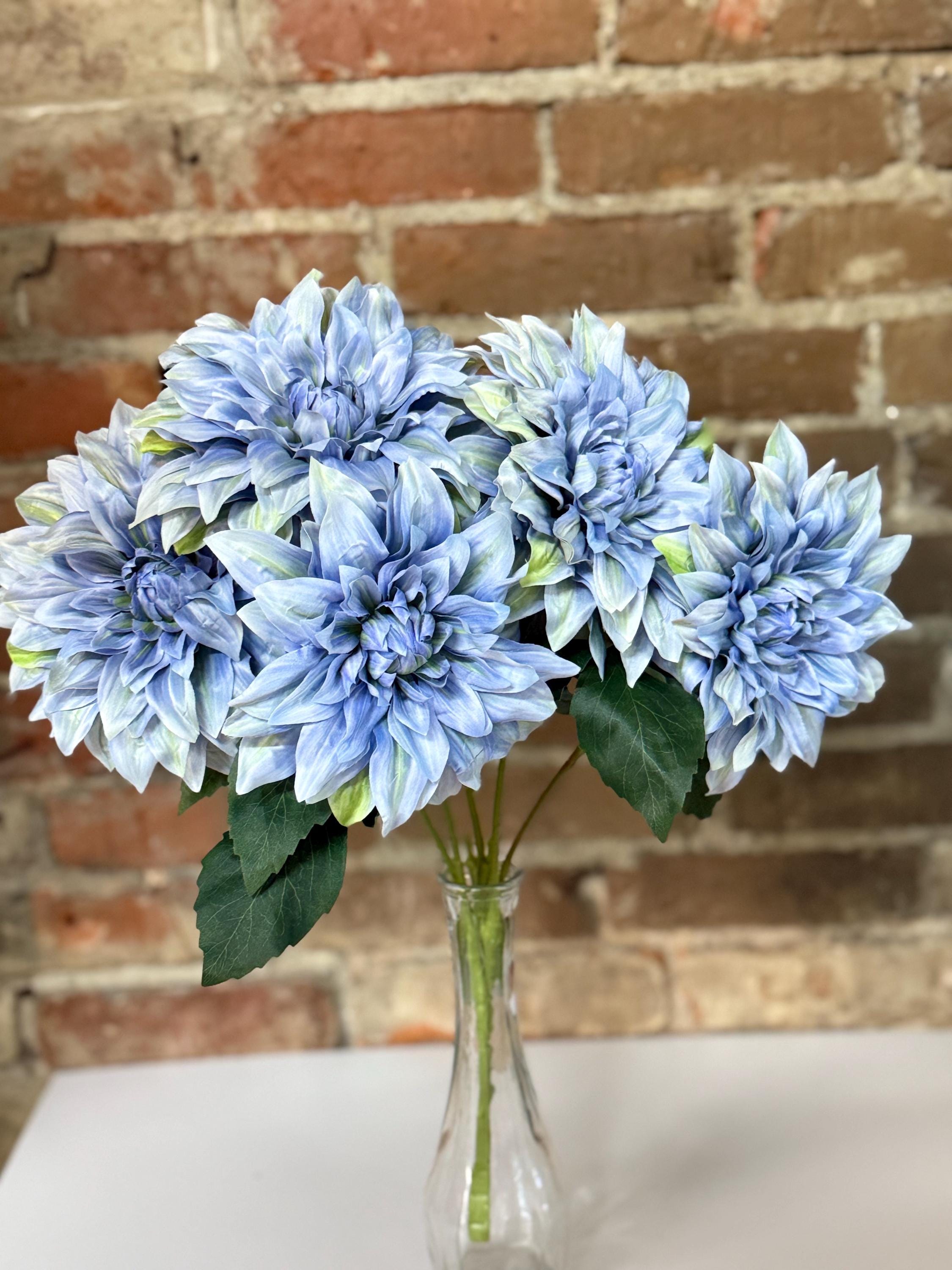 ブルーフラワーヘリテイジ Dahlia Bush, Blue Dahlia, 5 Flowers, 18
