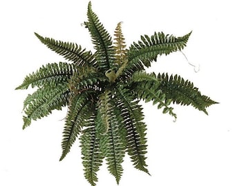 May include: A green artificial fern plant with long, feathery fronds. The plant is in a pot, but the pot is not visible in the image.
