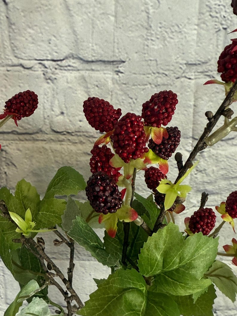 Styro Raspberry Spray X 4 19”, Raspberry Branch Stem, Wreath ...