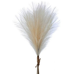 Pampas Feather Beige Bundle 23”, Boho Beach Wedding Wreath Embellishment Supply, Floral Supply, Floral Bushes, MTF23922-BE