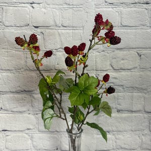 Styro Raspberry Spray x 4 19”, Raspberry Branch Stem, Wreath Embellishment Supply, Floral Supply, Artificial Fruit Pick, MTF22725