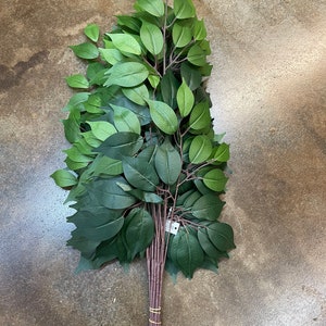 Green Ficus Spray X 3 Branches, One Dozen, 23", Filler, Greenery Stem Wreath Supply, Floral Supply, Wedding Bouquet, 57000-GN
