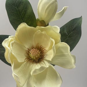 Magnolia and Bud Pick 14&quot; Spring, Summer, Fall, Winter Spray for Wreaths, Centerpieces, Swags, Garlands and Christmas Trees, MTF21446
