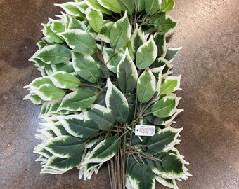 Ficus Spray X 3 Branches Variegated Ficus, One Dozen, 23&quot;, Greenery Stem Filler, Wreath or Floral Supply, Wedding Bouquet, 57000-Variegated