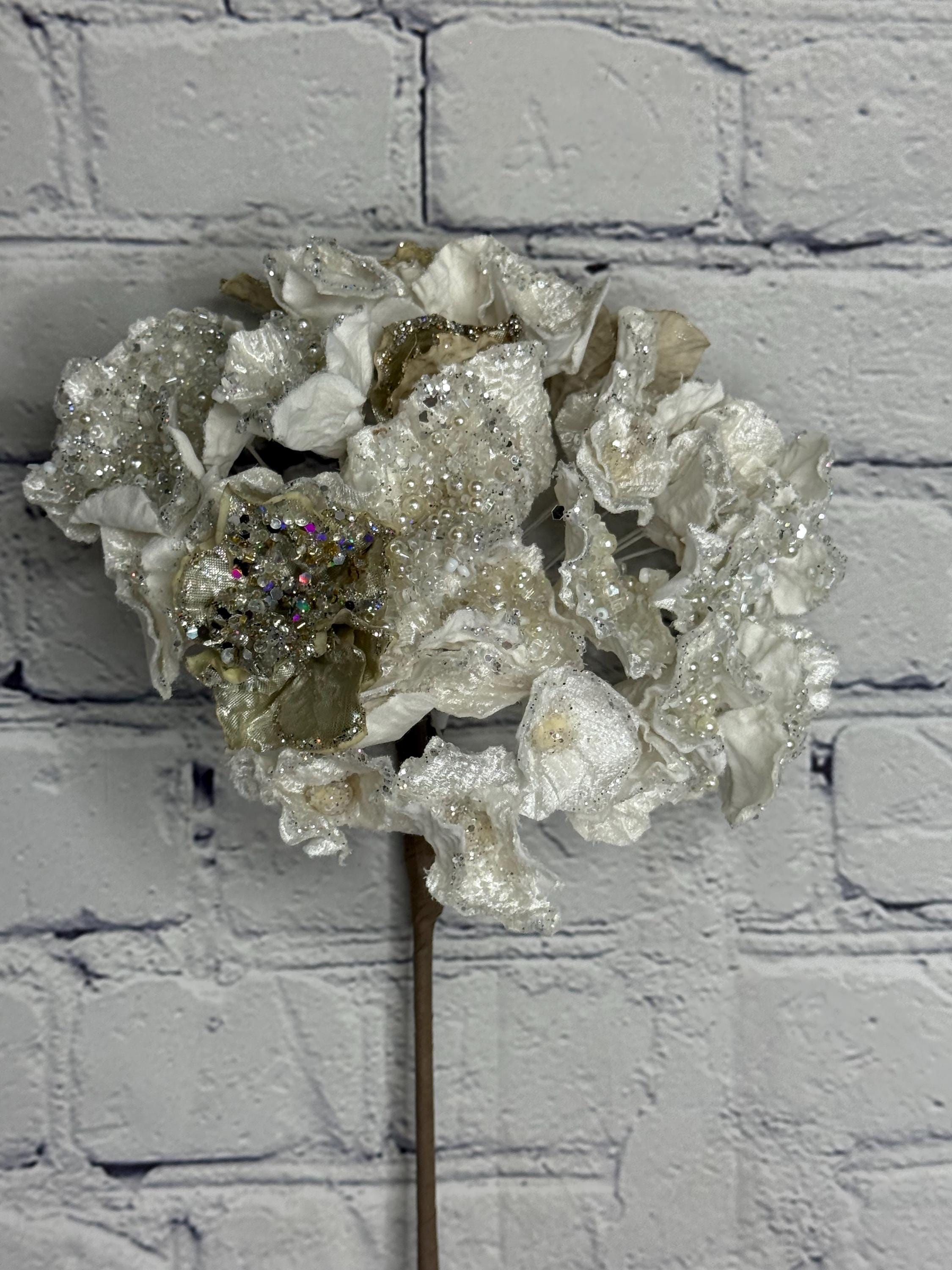 Hydrangea, 24