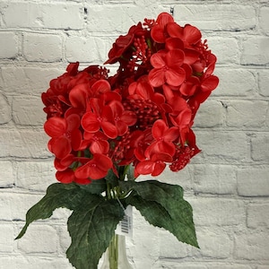 May include: A bouquet of red artificial hydrangea flowers with green leaves in a clear glass vase. The flowers are arranged in a heart shape.