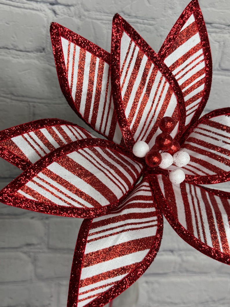 Poinsettia, Red and White Peppermint 12" Dia Christmas Accents for ...