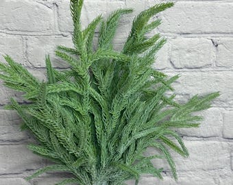 May include: A bunch of artificial green fern-like stems, with a light dusting of white, arranged in a clear glass vase. The stems are tied together with brown twine. The background is a white brick wall.