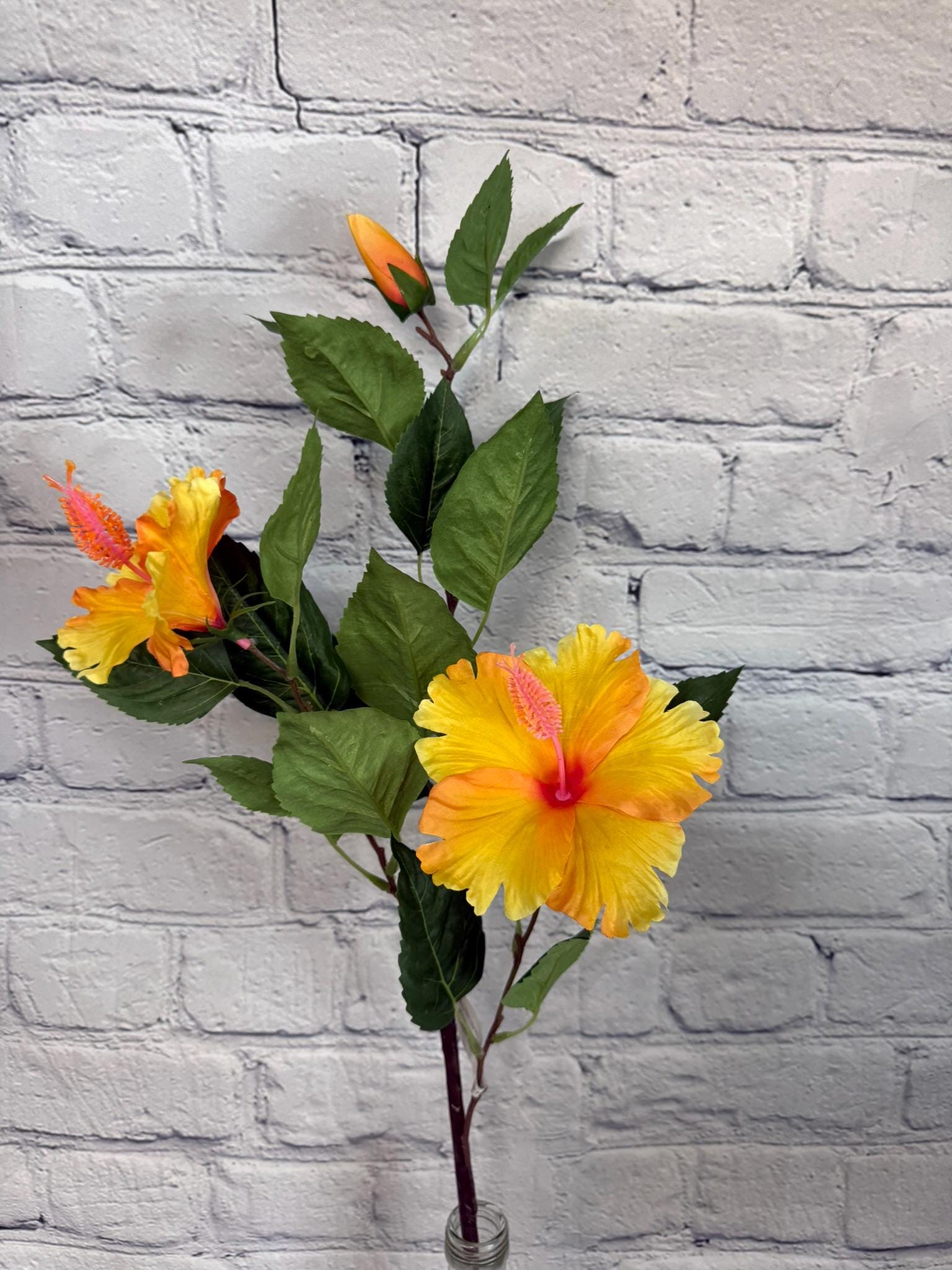 hibiscus♡ Hibiscus Spray, Yellow, 29” With 2 Flowers & 1 Bud, Tropical