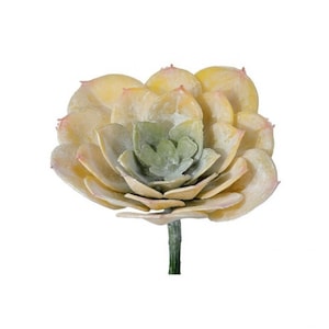 May include: A single artificial succulent plant with a light green center and pale yellow outer leaves.