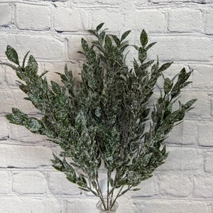 Iced Ruscus Bush 21” x 5, Iced Greenery Bush Vase Filler, Winter Stem Wreath Embellishment Supply, Floral Supply 85254