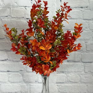 Orange Boxwood Bush 17.5” x 9, Mix Greenery Bush Vase Filler, Greenery Stem Wreath Embellishment Supply, Floral Supply, 84343