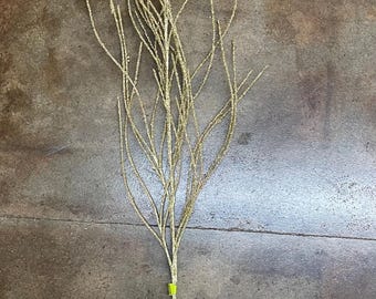 May include: A gold glitter twig spray with a long, thin stem. The twig spray is perfect for adding a touch of sparkle to your home decor.