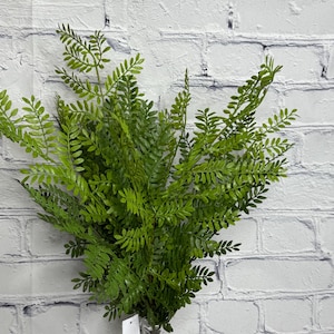 May include: A bundle of vibrant green fern stems in a clear, textured glass vase. The fern fronds have a delicate, feathery appearance, creating a lush, natural aesthetic. The background is a white brick wall.