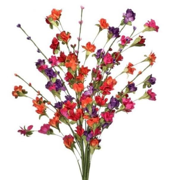 Wild Flower Summer Blossom Bundle – Vibrant Mixed Wildflowers 23